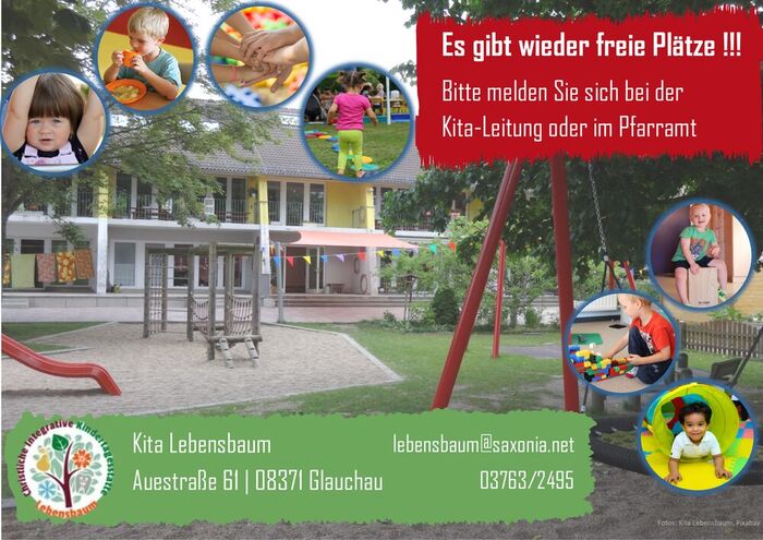 Kita Lebensbaum frei2